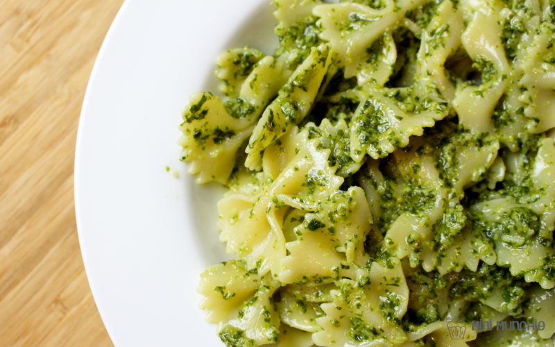 basil-pesto-with-farfalle-mini-munchie